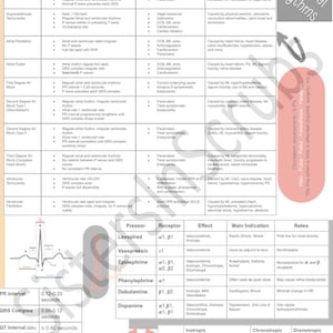 ICU Nursing Nursing Cheat Sheet Nursing School Nurse Gift Digital