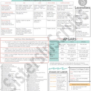 Labor & Delivery Nursing | Nursing Cheat Sheets | Nursing School | Nurse Gift | Digital Download | Clinical Cheat Sheet