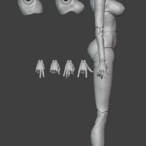 May include: A grey 3D model of a female figure, broken down into parts. The model includes a head, torso, arms, hands, legs, and feet. The parts are arranged to show the different components of the figure.