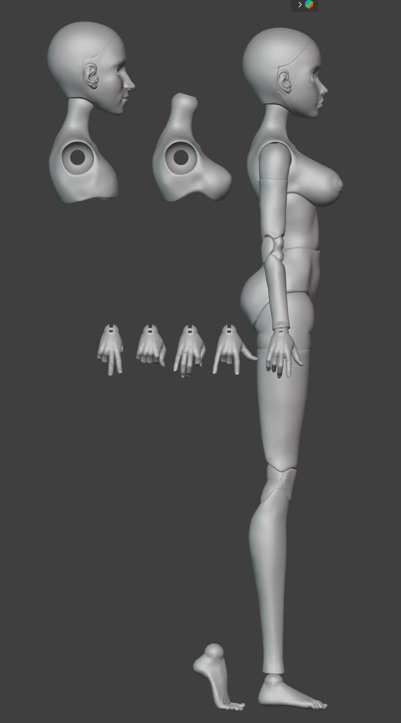 May include: A grey 3D model of a female figure, broken down into parts. The model includes a head, torso, arms, hands, legs, and feet. The parts are arranged to show the different components of the figure.