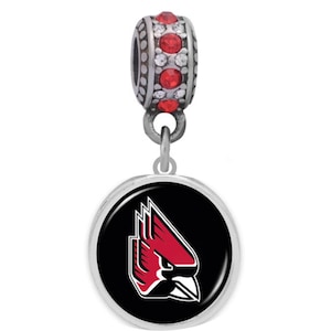  St. Louis Cardinals Cardinal Charm Compatible With Pandora  Style Bracelets. Can also be worn as a necklace (Included.) : Sports &  Outdoors