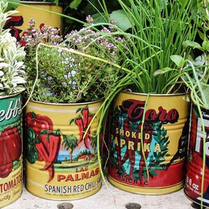 Retro Mexican/Spanish Tins - Chilli & Paprika Tin Can Planter, Kitchen Utensils, Decorative Storage Display Can ~ Vintage Design - Set Of 2
