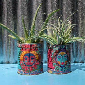May include: Two colourful metal cans with African-inspired designs are used as planters for green plants. The cans are labelled "Finest Arabica Coffee" and "Smooth Blend Coffee".