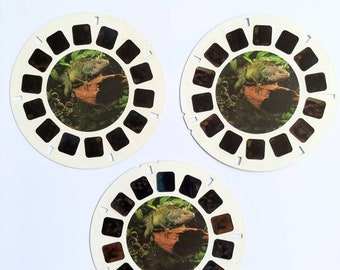1998 REPTILES Cold Blooded Creatures Mattel VIEWMASTER 3 reels ID. 73918