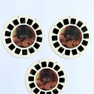 1998 Amazing PRIMATES Mattel Fisher-Price VIEWMASTER 3 reels ID. 73990