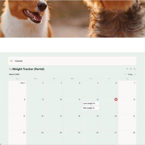 Puede incluir: Interfaz de sitio web de seguimiento de peso de mascotas, con calendario, navegaci&oacute;n y secciones de portal. La interfaz es verde claro y blanca, con una imagen borrosa de dos perros en la parte superior. Se muestra el texto "Weight Tracker".