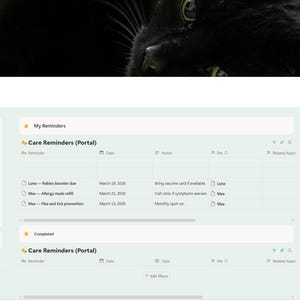 Puede incluir: Una interfaz digital titulada "Care Reminders" con un gato negro en el fondo. La interfaz muestra opciones de navegaci&oacute;n, recordatorios e informaci&oacute;n del portal. La interfaz es de color verde claro y blanco.