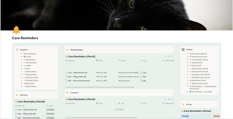 Puede incluir: Una interfaz digital titulada "Care Reminders" con un gato negro en el fondo. La interfaz muestra opciones de navegaci&oacute;n, recordatorios e informaci&oacute;n del portal. La interfaz es de color verde claro y blanco.
