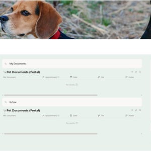Puede incluir: Una p&aacute;gina web titulada "Documentos para mascotas" con una imagen de un perro beagle en la parte superior. La p&aacute;gina presenta opciones de navegaci&oacute;n, secciones de documentos y acceso al portal para informaci&oacute;n relacionada con mascotas.