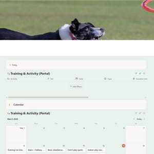 Puede incluir: Una interfaz de p&aacute;gina web titulada "Training & Activity" con un perro blanco y negro en el fondo. La interfaz incluye opciones de navegaci&oacute;n, un calendario y una lista de actividades. El perro lleva un collar blanco y mira un anillo rojo.
