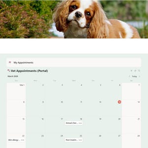 Puede incluir: Interfaz digital para citas veterinarias, con calendario, men&uacute; de navegaci&oacute;n y opciones relacionadas con mascotas. Un perro Cavalier King Charles Spaniel est&aacute; en la parte superior de la imagen. La interfaz incluye secciones para citas, recordatorios y seguimiento de la salud.
