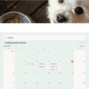 Puede incluir: Una interfaz digital de seguimiento de la alimentaci&oacute;n de mascotas con calendario, navegaci&oacute;n y opciones de portal. La interfaz es de color verde claro y blanco, con las palabras "Feeding Tracker" en la parte superior. Un perro blanco y esponjoso en el fondo.