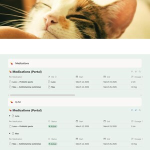Puede incluir: Una interfaz digital para medicamentos para mascotas, con la cara de un gato en la parte superior. La interfaz incluye secciones para navegaci&oacute;n, medicamentos y portales. El texto "Medications" se muestra de forma destacada.