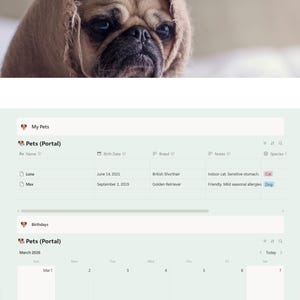 Puede incluir: Una interfaz digital para la gesti&oacute;n de mascotas, con un carlino en la parte superior. La pantalla muestra secciones para la navegaci&oacute;n, los detalles de las mascotas, los cumplea&ntilde;os y los portales. La interfaz es verde claro y blanca, con el texto "My Pets".