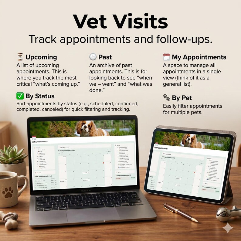 Vet Visits & Vaccinations