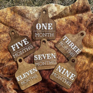 Cow Tag Monthly Milestone Set Western Baby Milestone Tag Set
