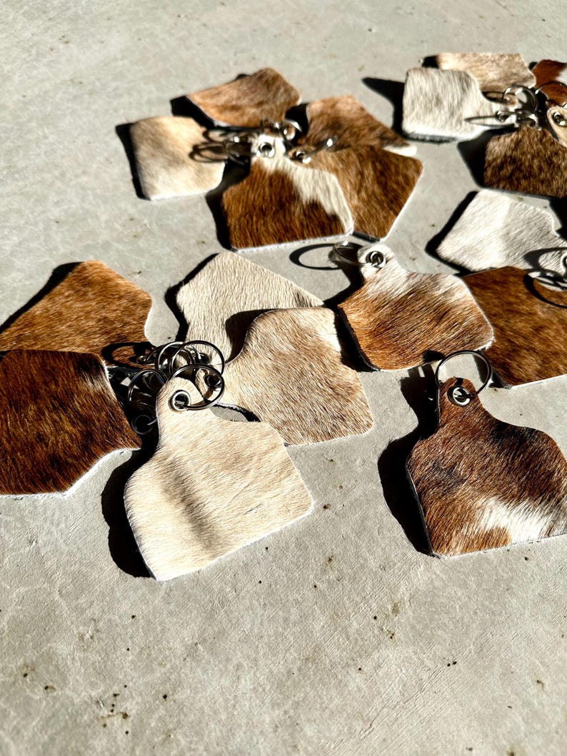 May include: A collection of brown and white cowhide keyrings with silver key rings. The keyrings are shaped like a cow tag.