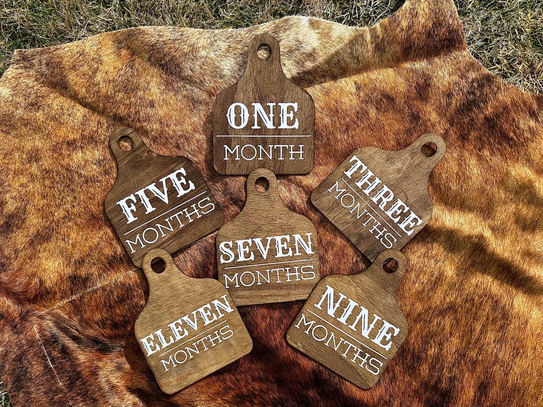 Cow Tag Monthly Milestone Set Western Baby Milestone Tag Set - Etsy