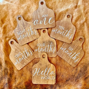 Cow Tag Baby Milestone Set: Western Rustic Nursery Decor