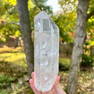 Clear Quartz Point - Gold Rutile, White Chlorite, Etchings & Record Keepers