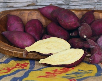 Fresh Japanese sweet potatoes