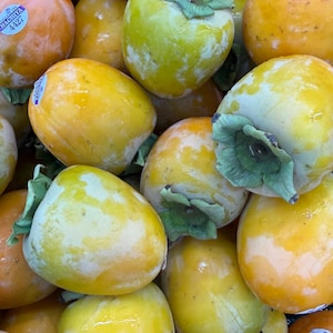 May include: A collection of Hachiya persimmons with smooth, glossy skins ranging in color from bright yellow to deep orange. Each fruit features a prominent green calyx at the top, and several persimmons display small white stickers labeled HACHIYA 4427.