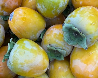 Fresh Persimmon Hachiya