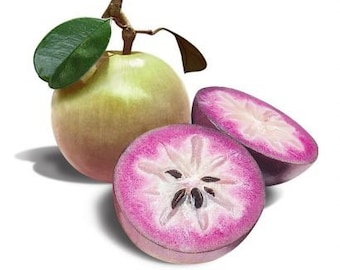 3LBS Fresh Star Apple Fruit.