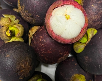 Fresh Mangosteen Fruit