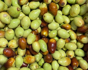 May include: A large collection of fresh jujube fruits, also known as red dates, featuring a mix of light green and deep reddish-brown skins. The oval-shaped fruits are piled together, showing smooth, firm surfaces and small stems.