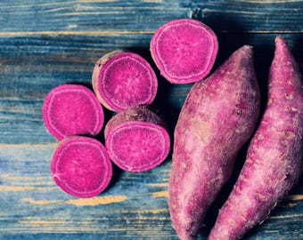 Japanese purple sweet potatoes