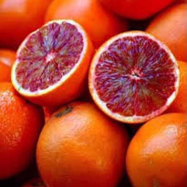 4LBS Fresh Blood Orange Fruit