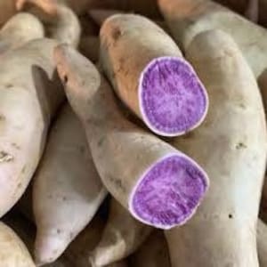 May include: A close-up of several white sweet potatoes with purple flesh. The potatoes are arranged in a pile, with some cut in half to reveal the purple flesh.