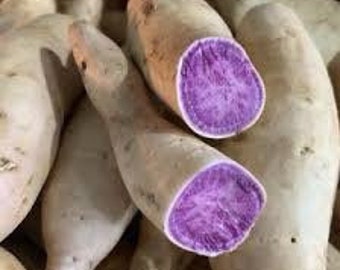 5LBS Hawaiian Purple sweet Potatoes.( note: not for planting )