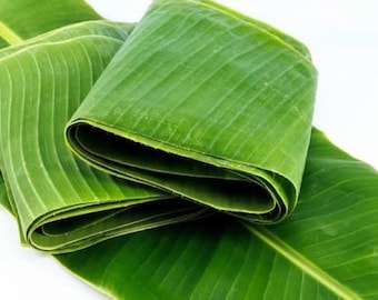 3LBS Fresh Banana Leaves