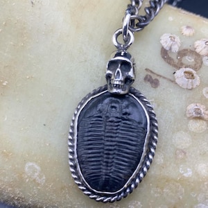 real trilobite with skull pendant great gift for fossil lovers