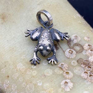 little frog pendant