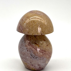 Ocean Jasper Mushroom Crystal Carving