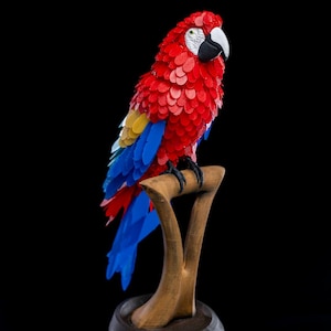 DIY Macaw Feather Puzzle