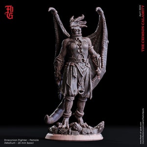 Draconian Fighter Female / The Crimson Calamity / Flesh Of Gods / Miniatures