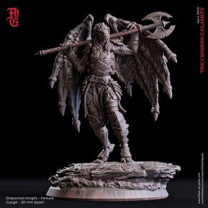 Draconian Knight Female / The Crimson Calamity / Flesh Of Gods / Miniatures