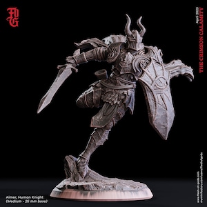 Aimer, Human Knight / The Crimson Calamity / Flesh Of Gods / Miniatures