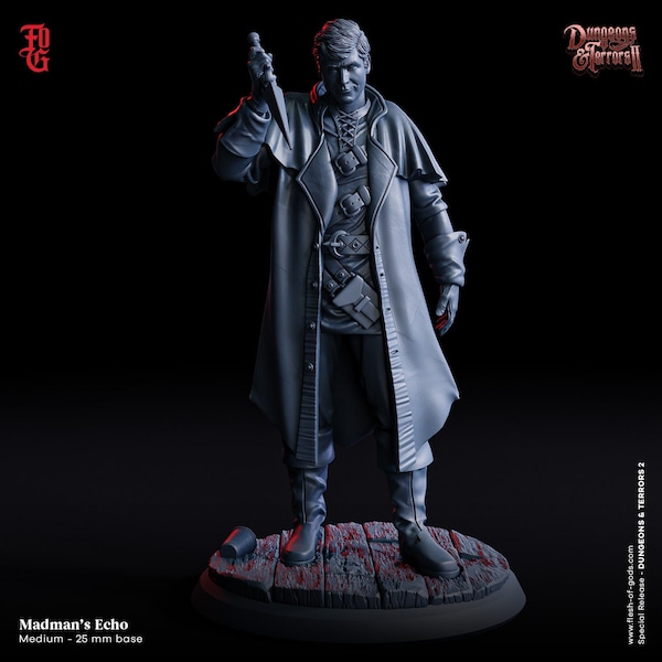 Madmans Echo / Dungeons & Terrors 2 / Flesh Of Gods / Miniatures