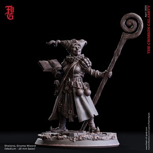 Shalana, Gnome Wizard / The Crimson Calamity / Flesh Of Gods / Miniatures