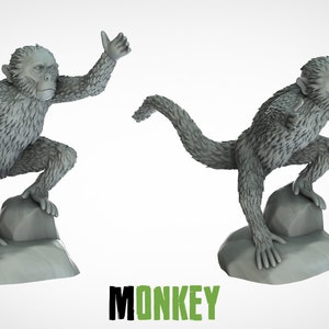 Monkey / Animals / 3D IPStudios / Miniatures / D&D