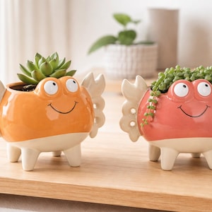 Può includere: Due vasi in ceramica a forma di granchio, uno arancione e uno corallo, ciascuno con un volto sorridente e dettagli bianchi. I vasi hanno piccole zampe e dettagli di chele di granchio. Uno contiene una succulenta, l'altro una pianta ricadente.