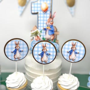 Peter Rabbit Cupcake Toppers | Peter Rabbit Decor| Beatrix Potter Cupcake Decorations | Easter Cupcake Picks | Peter Rabbit Party