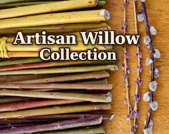 Artisan Willow Cuttings Collection – Weaving, Wreaths, Decorative Stems (Live Cuttings)