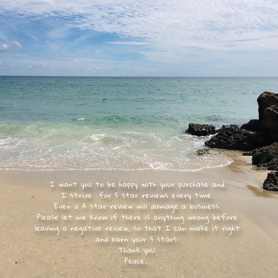 Handpicked Shells For Crafts Dwarf Surfclam Shell Atlantic Etsy