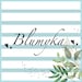 Blumykakids store logo